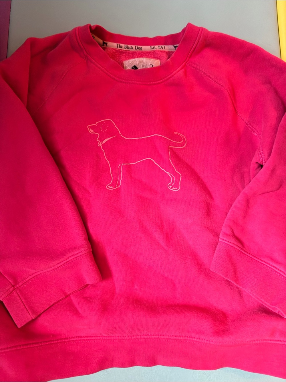 The Black Dog Hot Pink Crewneck with Dog Outline